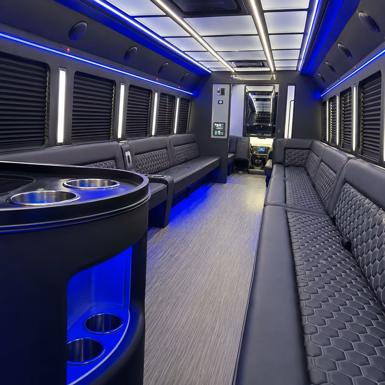 roseville party bus rentals inside
